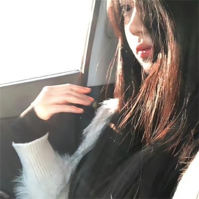 探长薇拉第十四季